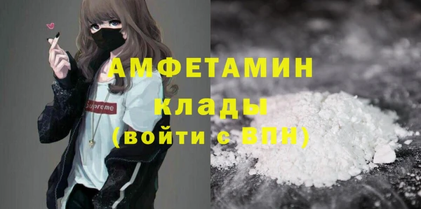 твердый Инта