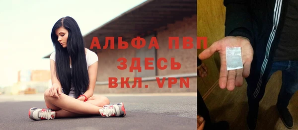 мяу мяу мука Иннополис