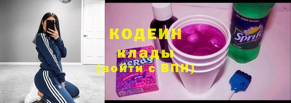 мяу мяу мука Иннополис