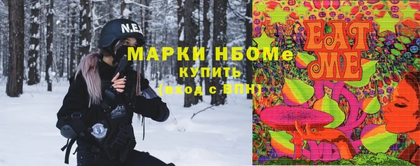 твердый Инта