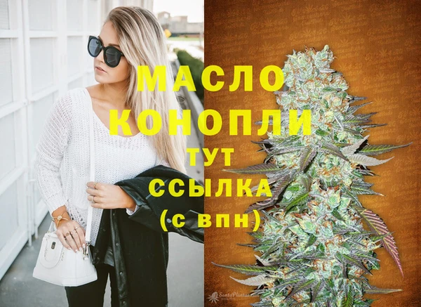 твердый Инта