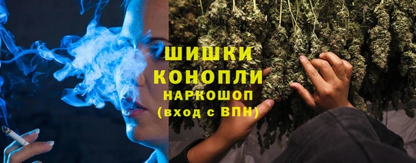твердый Инта