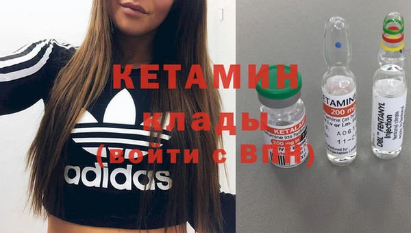 твердый Инта