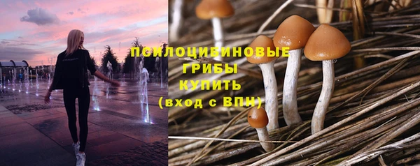 MDMA Инсар