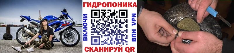 Купить закладки  Бердск  Конопля семена 